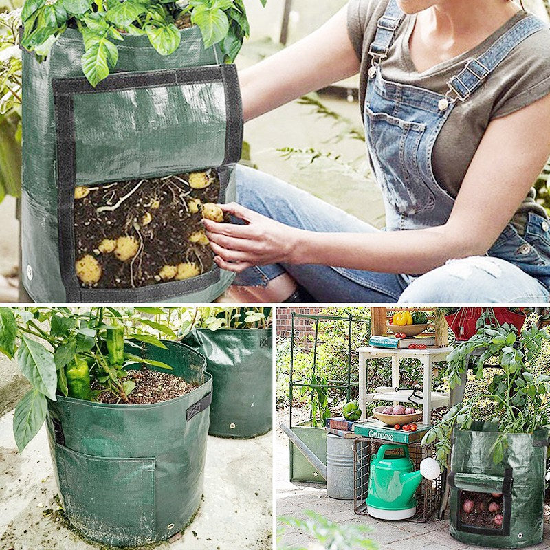 Potato or Vegetable Planter Growing Bag