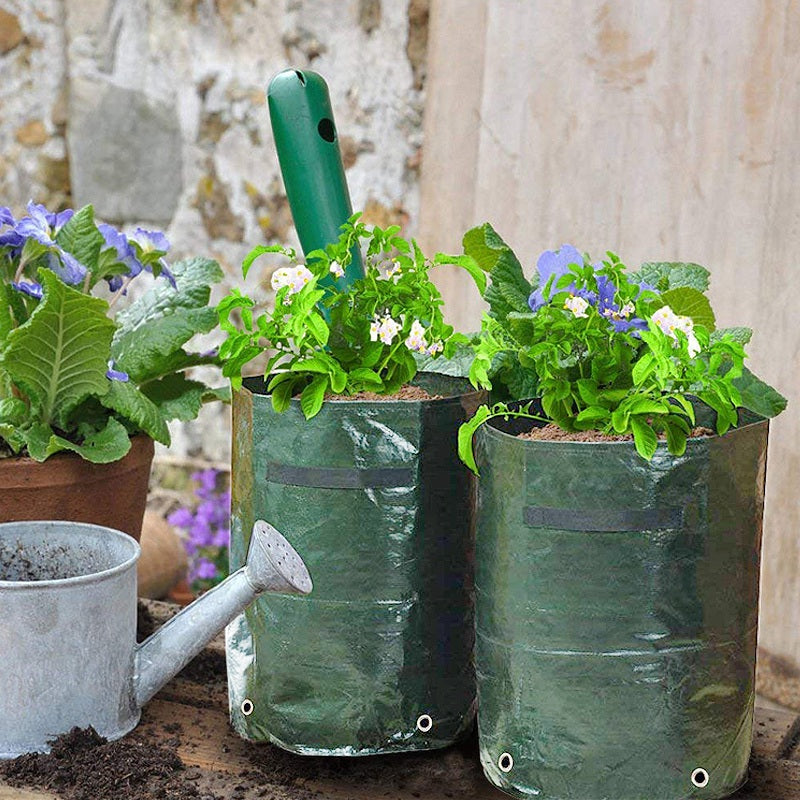 Potato or Vegetable Planter Growing Bag