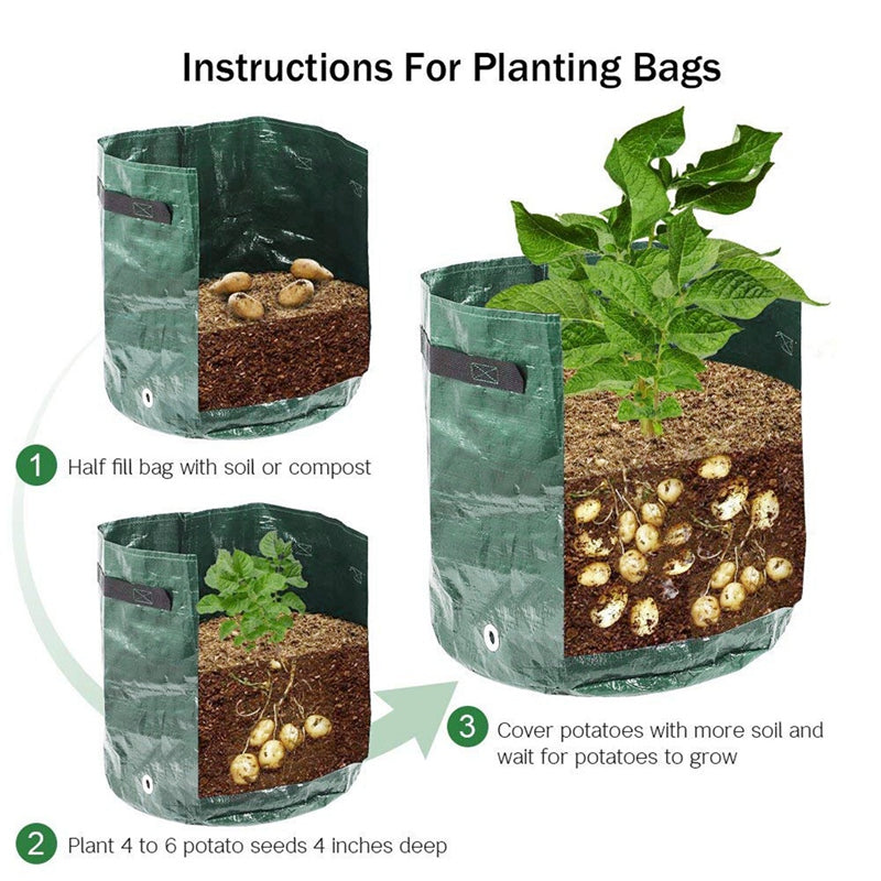 Potato or Vegetable Planter Growing Bag