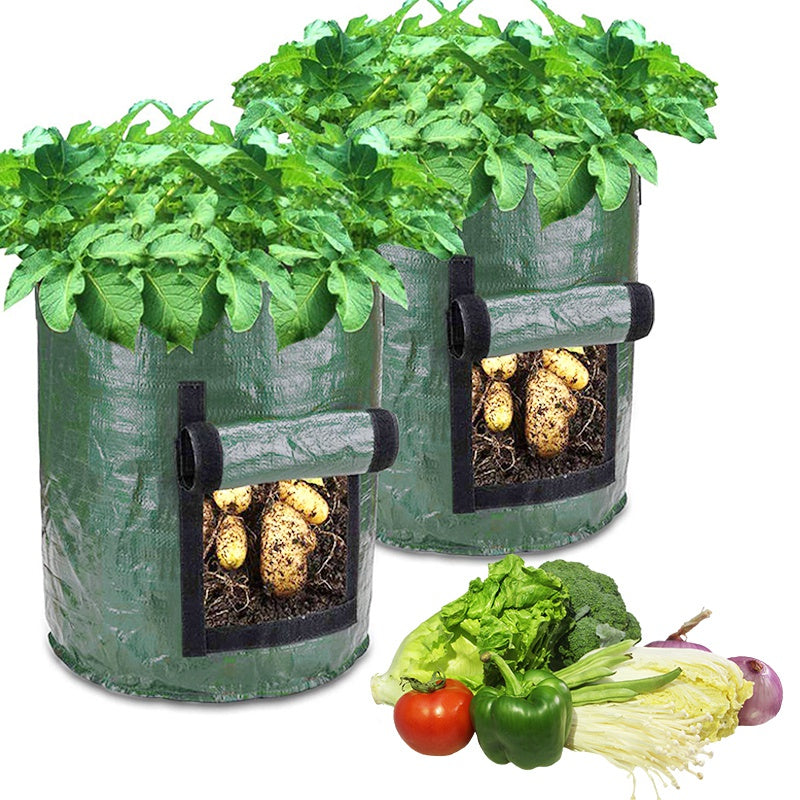 Potato or Vegetable Planter Growing Bag