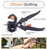 Elegant and efficient way to improve plant productivity with gardening grafting shears