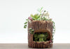 Creative Resin Tree Hole  Succulent Flower Pot