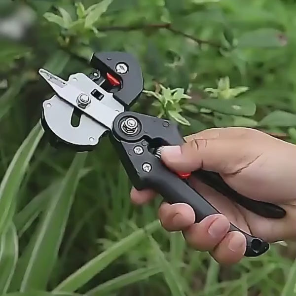 Elegant and efficient way to improve plant productivity with gardening grafting shears